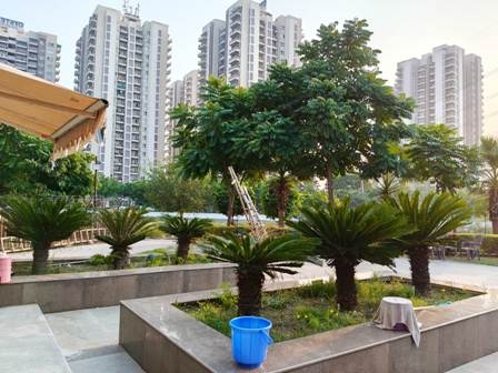 Shop for sale in Adani 